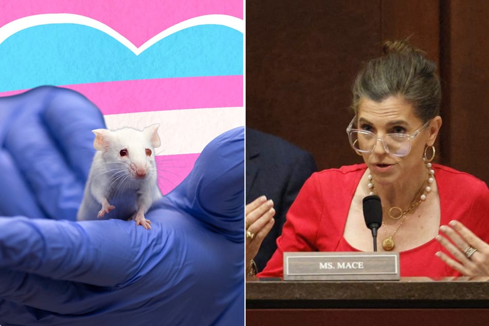 Congresswoman Nancy Mace (r) recently faced heavy ridicule on social media for her bill that seeks to stop "transgender experiments" on animals.