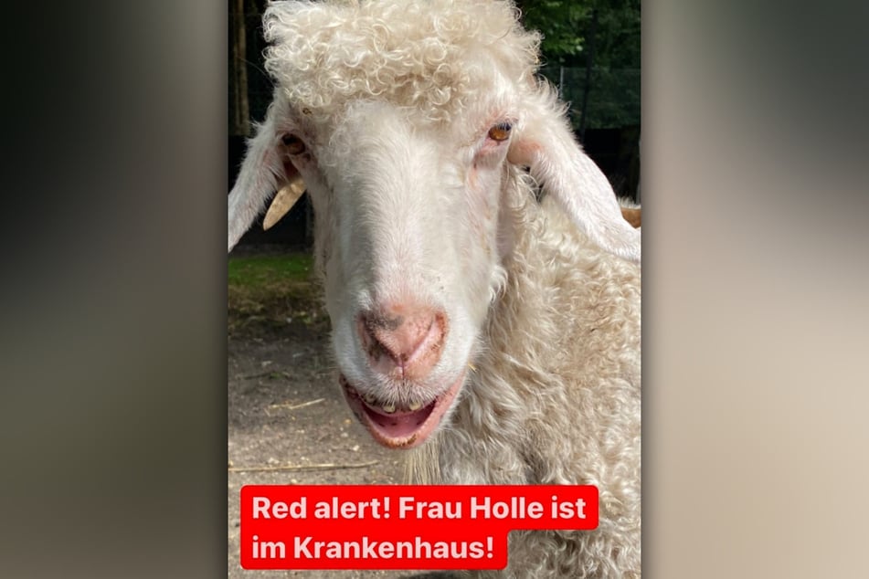 Frau Holle wird derzeit in einer Spezialklinik in Gießen behandelt.