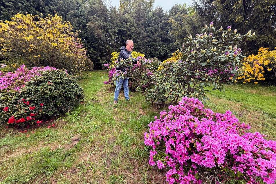 Tobias Scholze kümmert sich liebevoll um die Blumen und Pflanzen im Schlossgarten.