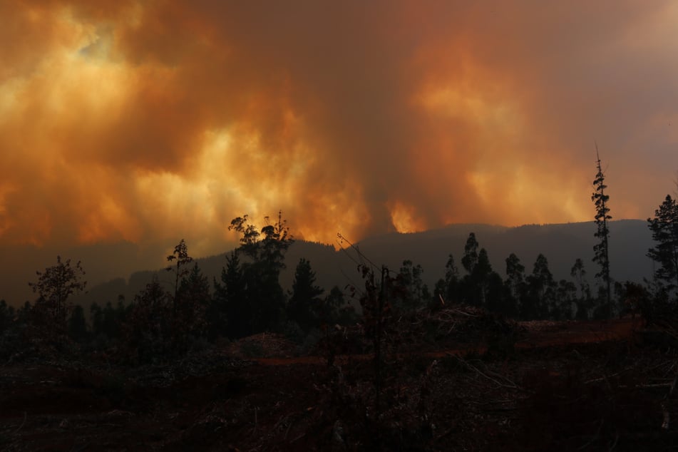 Tausende Hektar sollen im südamerikanischen Chile von den Flammen betroffen sein.