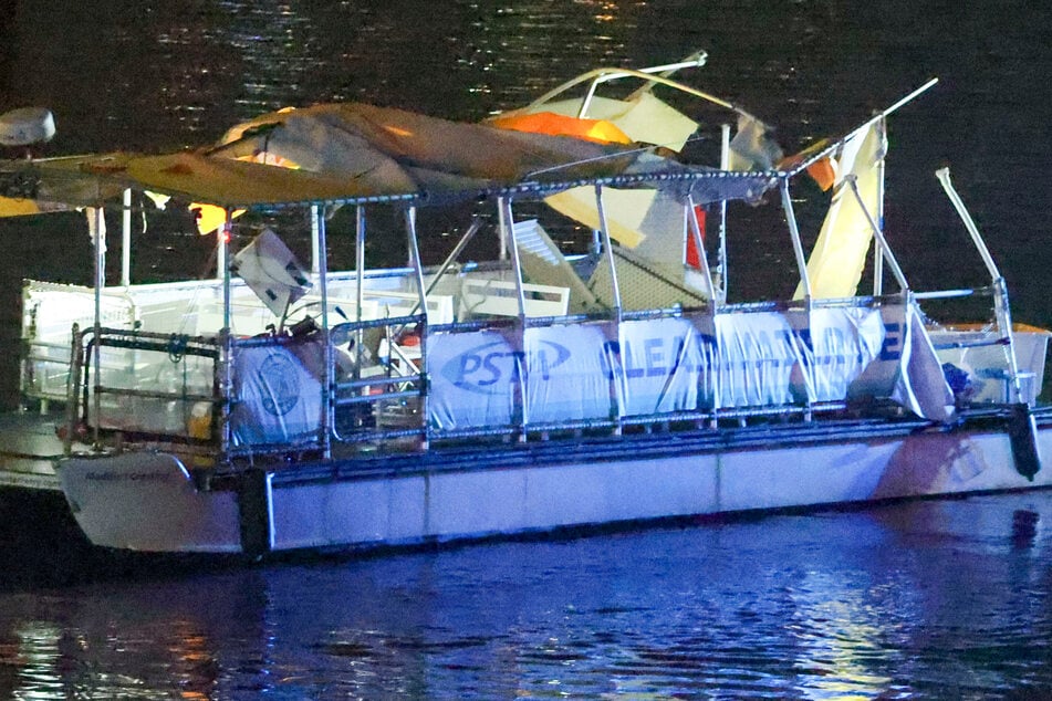 After fatal boat accident: Was the ferry captain distracted by dolphins?