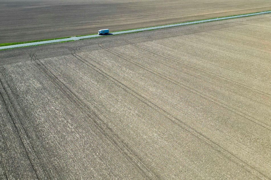 Droht Sachsen der nächste Dürre-Sommer? Anhaltende Trockenheit und kein Regen
