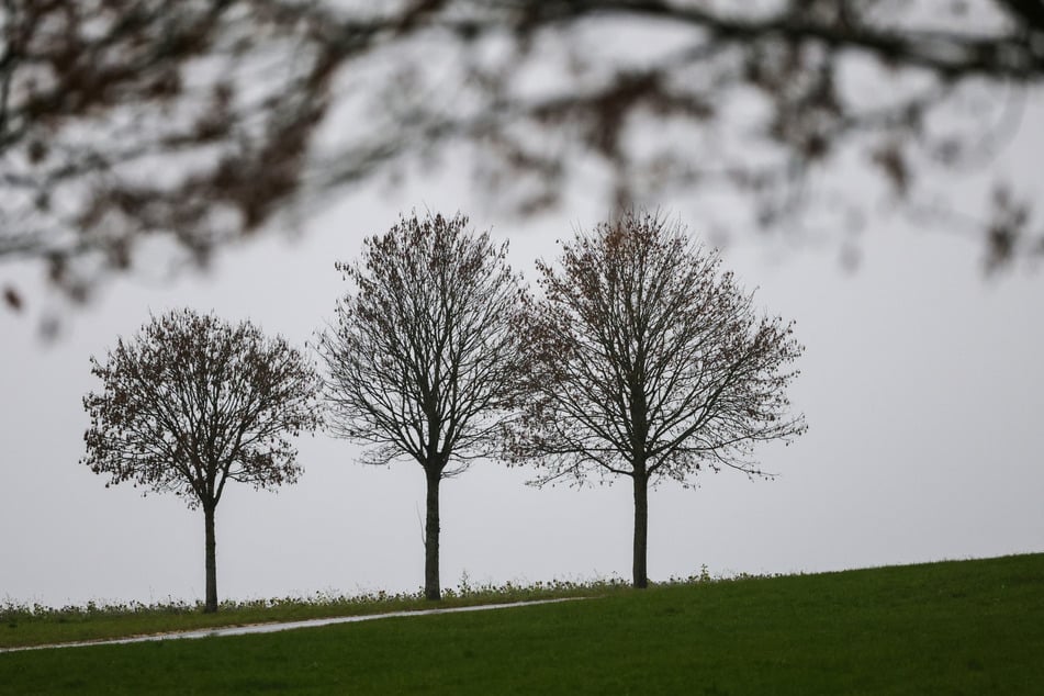 Das Wochenende in Sachsen wird stellenweise regnerisch, aber mild.