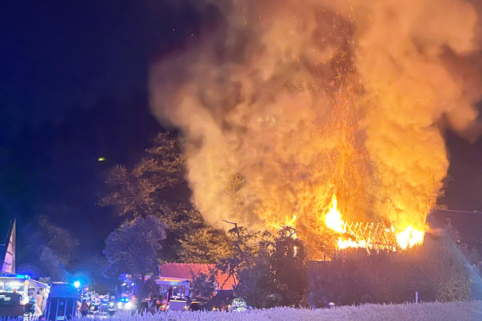 Flammeninferno auf Reiterhof sorgt für Millionenschaden, doch es kommt noch schlimmer