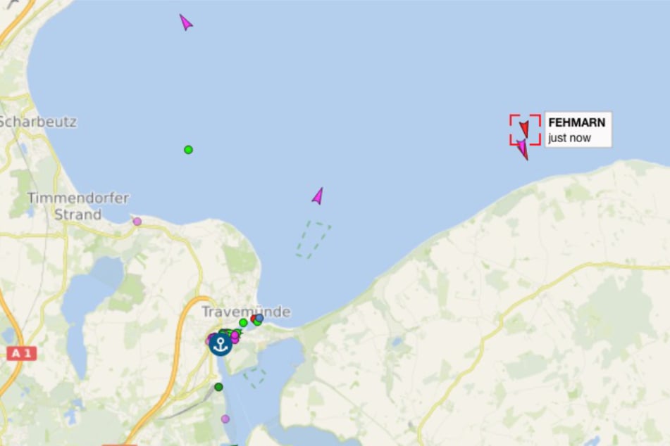Die "Fehmarn" befand sich gegen 14.30 Uhr nur zwei Kilometer vom Ufer entfernt. Sie begleitet den Wal.