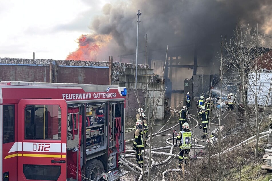 Hunderte Feuerwehrleute bekämpften die Flammen.