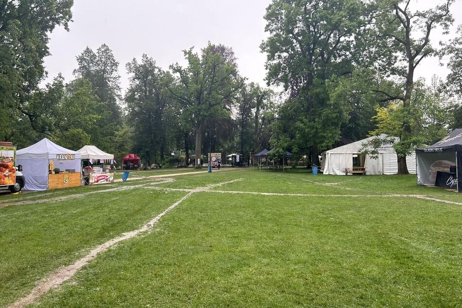 Auf dieser Wiese fand das Kinderfest statt. Als ein Gewitter aufzog, suchten viele Teilnehmer unter den Bäumen Schutz.