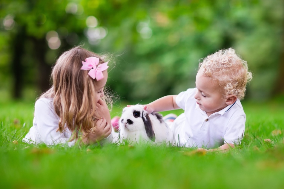Kaninchen sind zwar schön flauschig anzusehen, kuscheln aber statt mit Kindern viel lieber mit ihren Artgenossen.
