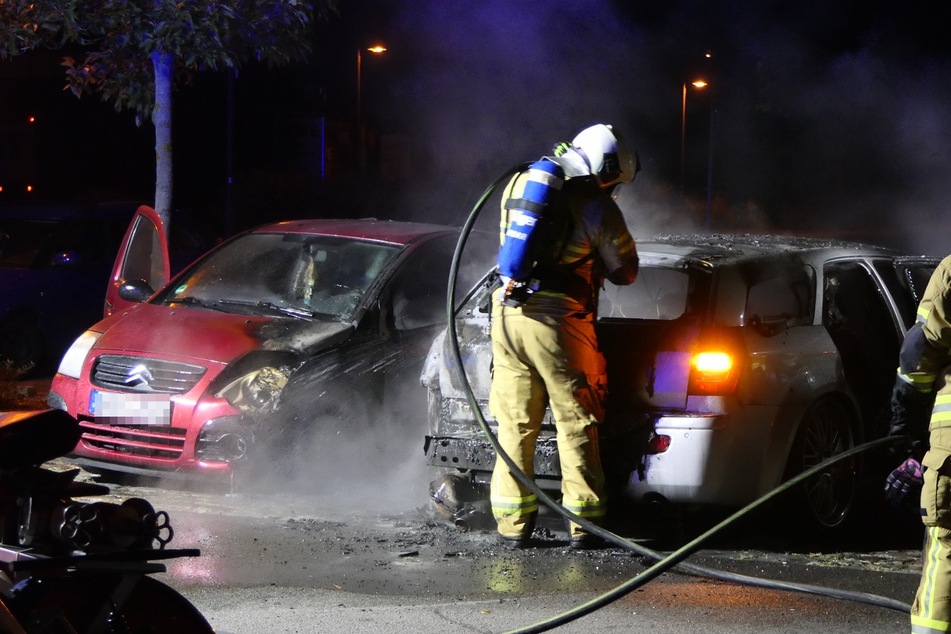 Auch ein daneben stehender Citroen wurde durch den Brand zerstört.