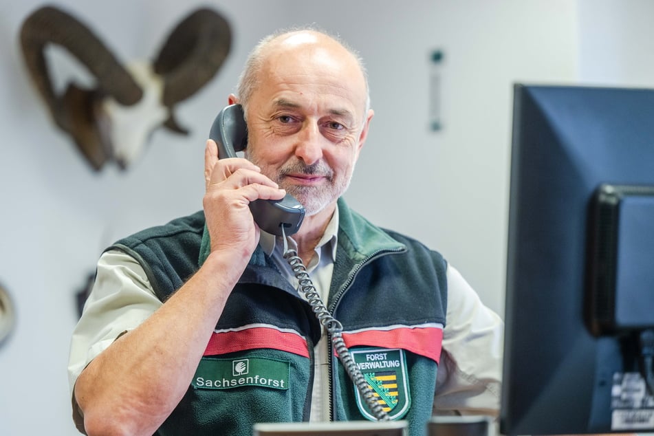 Bei Forstbezirksleiter Bernd Ranft (58) klingelt ständig das Telefon, weil Kaminbesitzer nach Holz fragen.