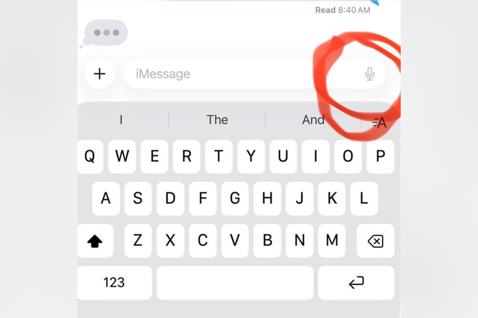 Dieses kleine Mikrofon ist der Grund, warum der Sänger sich aufregte.