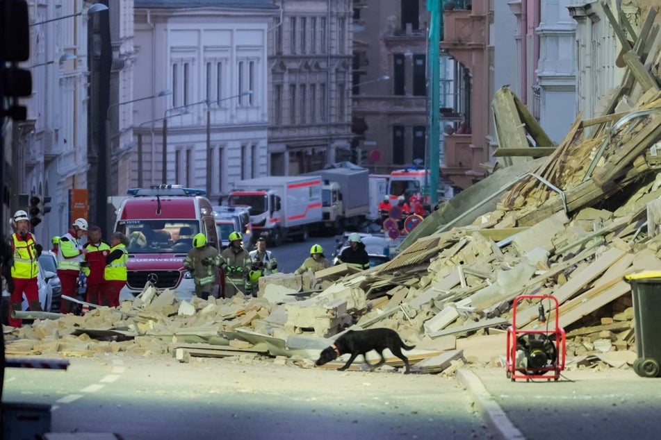 Spürhunde kamen nach dem Hauseinsturz zum Einsatz.
