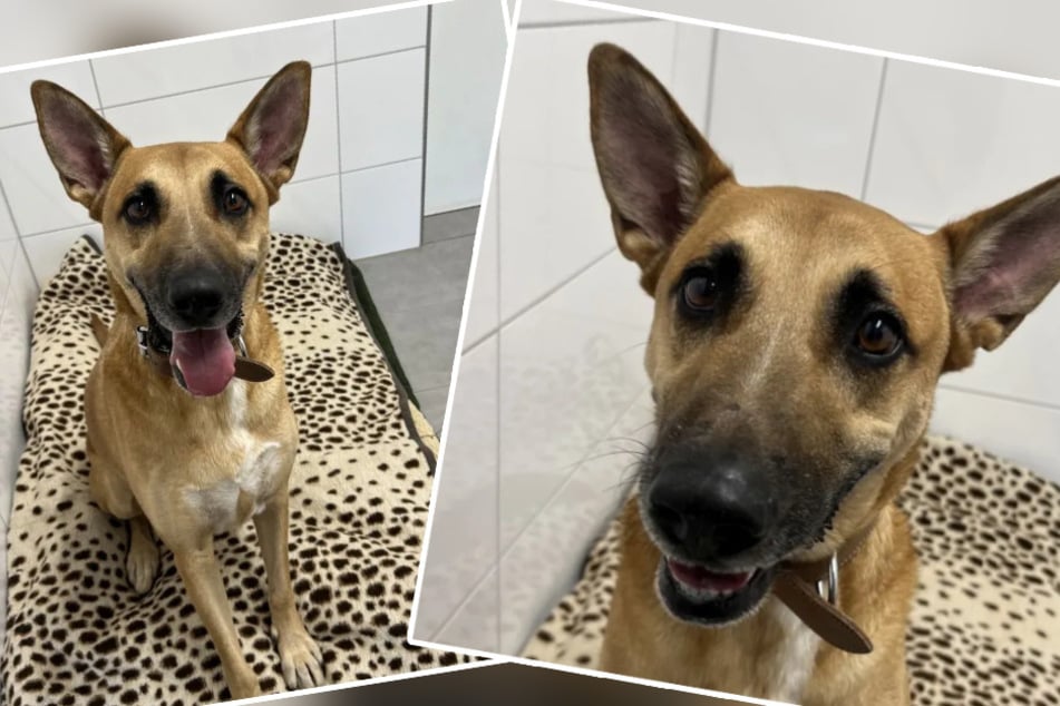 Kdo může odolat tomuto sladkému úsměvu?