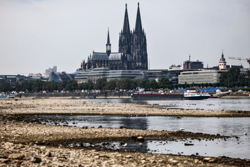 Anfang der neuen Woche könnten unweit des Doms wieder 45 Zentimeter Pegel gemessen werden.