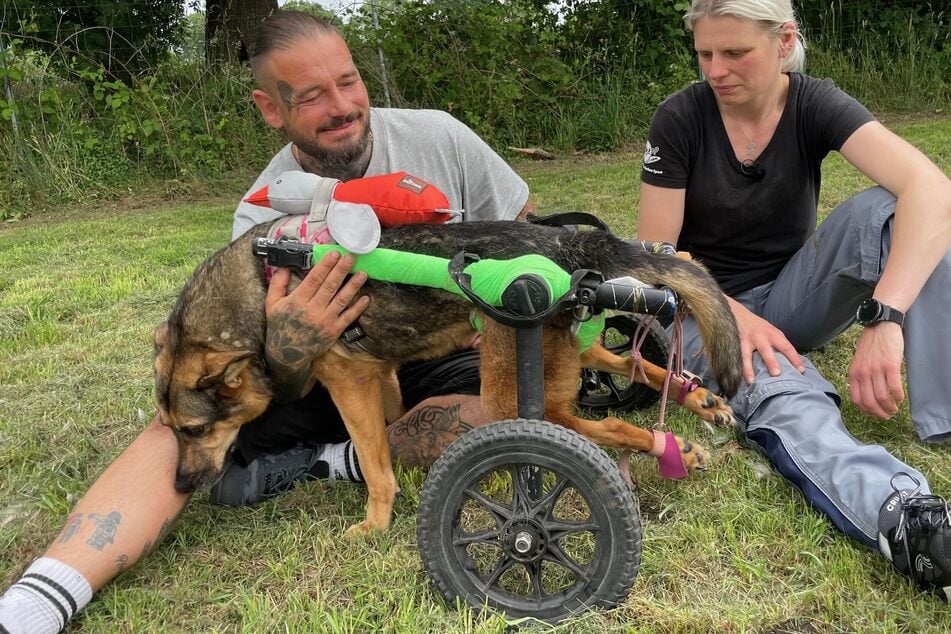 Steve mit Leiterin Sandra Bohlen und Hündin Roxy.