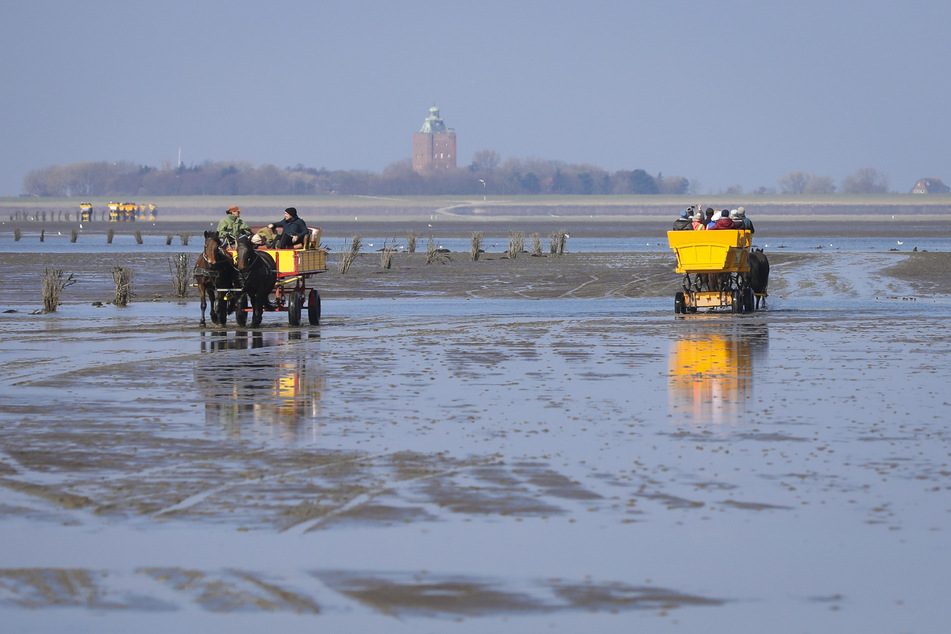 Die Insel Neuwerk ist ein besonderer Stadtteil von Hamburg.