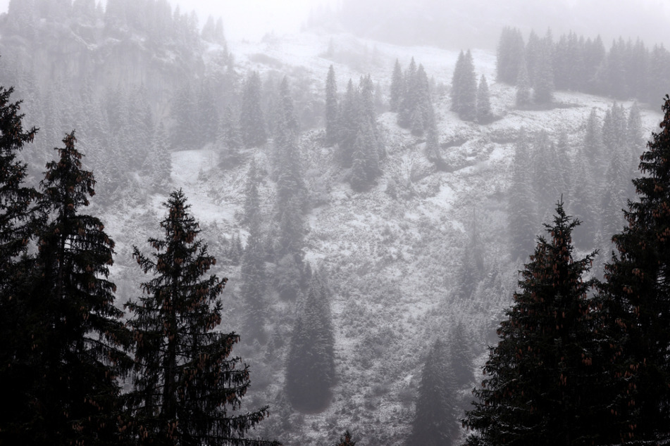 Vor allem an und in den Alpen soll es schneien. (Archivbild)