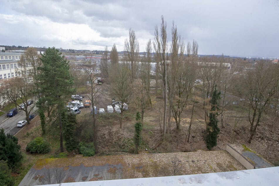 Der hinter dem Gebäude liegende Park wird für Freilichtaufführungen wiederhergerichtet.