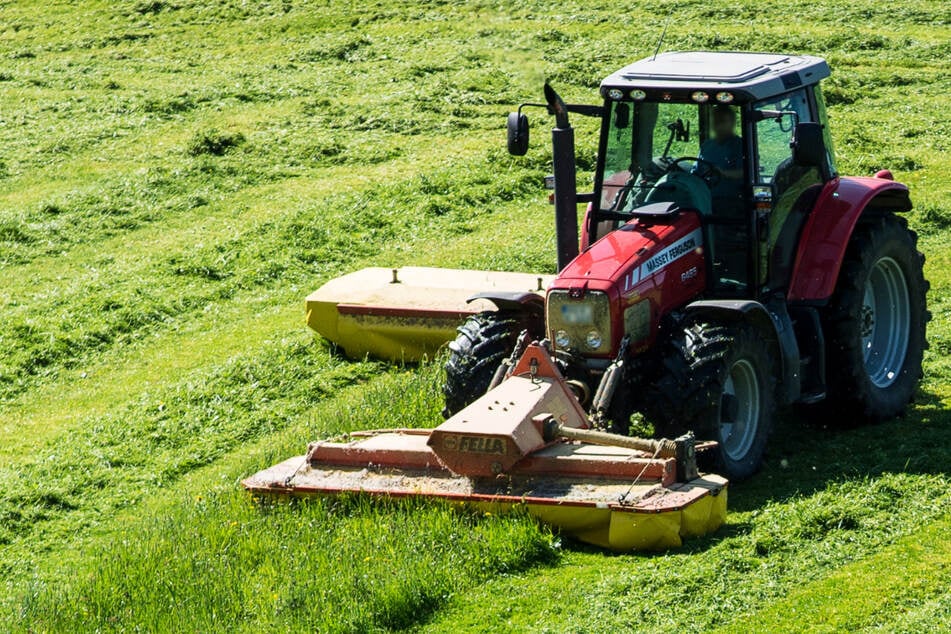 Gefahr für die Tiere: Landwirt darf wegen Party-Chaoten Ernte wegwerfen!