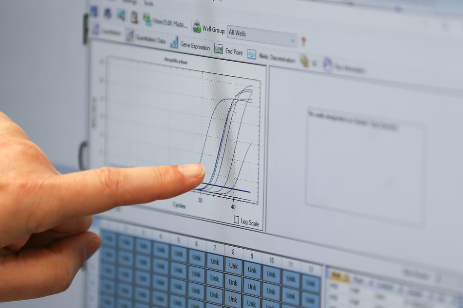 Eine Analysekurve am Computer des Labors.