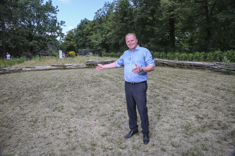 Zoo-Chef Karl-Heinz Ukena (50) zeigte bereits 2018 das Areal, auf dem das neue Affenhaus entstehen soll.