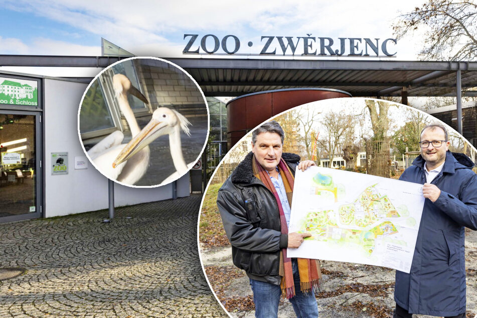 Neuer Asien-Bereich, neue Tier-Stars: Große Pläne für den Zoo von Hoywoy