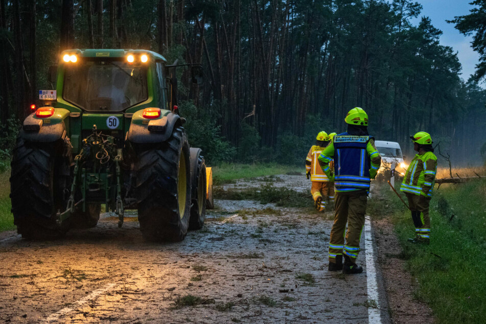 Die Feuerwehr musste die Straßen von umgestürzten Bäumen befreien.