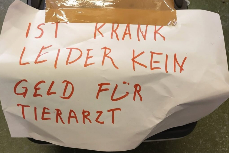 Diese Notiz klebte auf der Transportbox der ausgesetzten Katze.