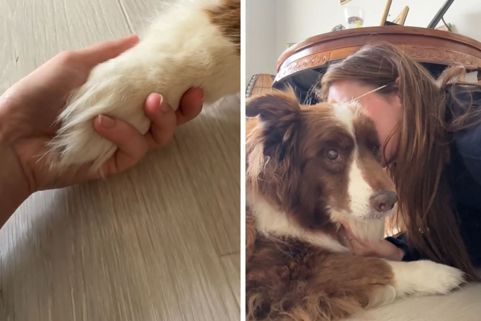 Yasmin cuddled with her pup, Kizzie, before the dog had to be euthanized.