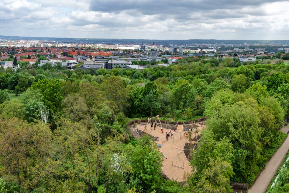 Ein wesentlicher Teil der BUGA ist der Südpark samt Waldspielplatz, der bereits eröffnet wurde.