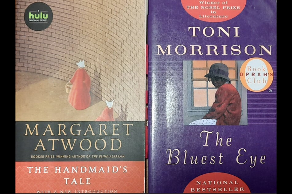 Margaret Atwood's The Handmaid's Tale and Toni Morrison's The Bluest Eye are on the list of books that have been removed from circulation in Goddard school district.
