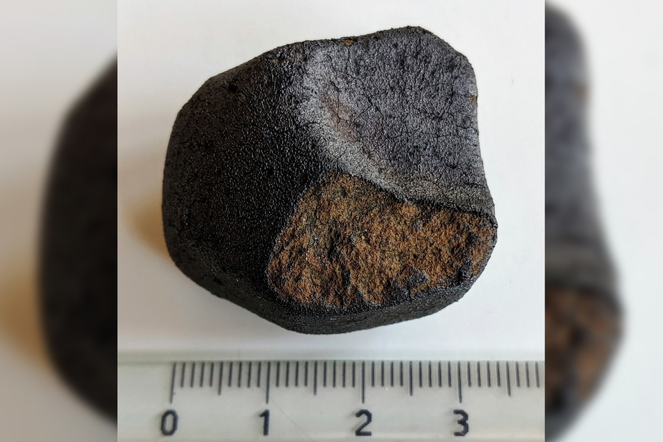Der Stein, der in Flensburg gefunden wurde, ist nur so groß wie ein Tischtennisball.