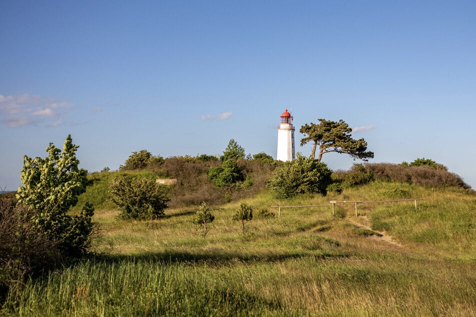 Der Leuchtturm Dornbusch ist das Wahrzeichen der Insel Hiddensee.