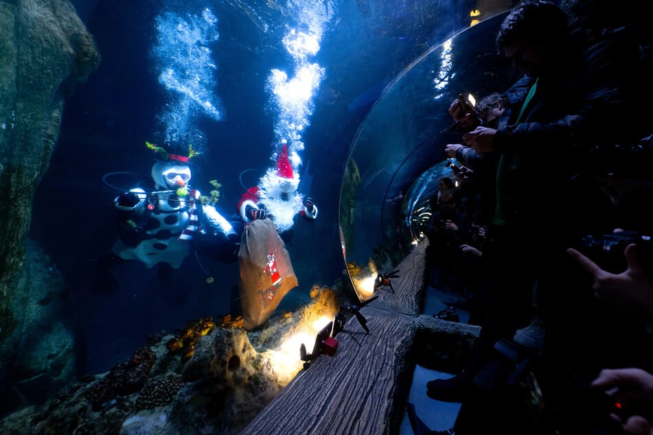 Geschenke im Ozeanbecken des Sea Life in München? Warum auch nicht!