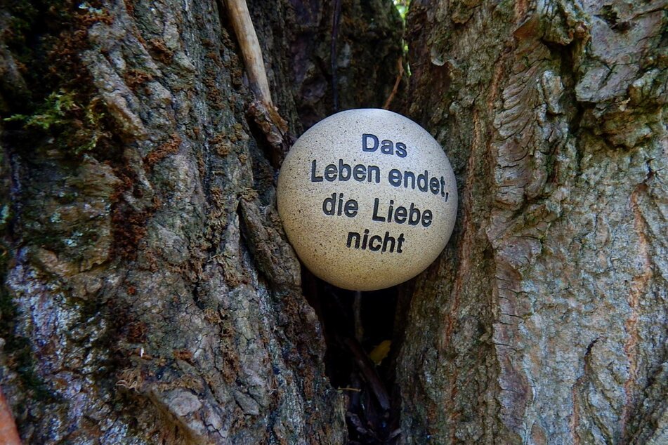 Immer mehr Menschen wollen sich nach dem Tod in einem sogenannten Friedwald beisetzen lassen. Bekommt nun auch Leipzig einen solchen Ort? (Symbolbild)