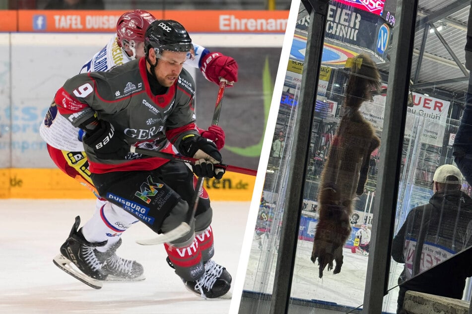 Skandal im deutschen Eishockey: Totes Tier aufgehängt, Spieler angegriffen