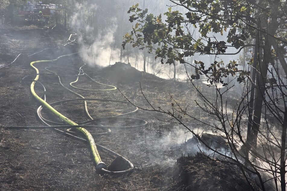 Verheerender Waldbrand in Sachsen: 120 Feuerwehrleute kämpfen zu Fuß gegen die Flammen