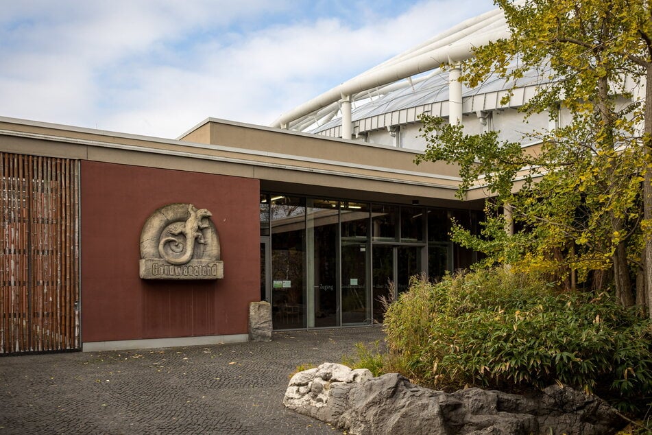 Der Zugang zum Gondwanaland ist für Besucherinnen und Besucher erstmal nicht möglich. (Archivbild)