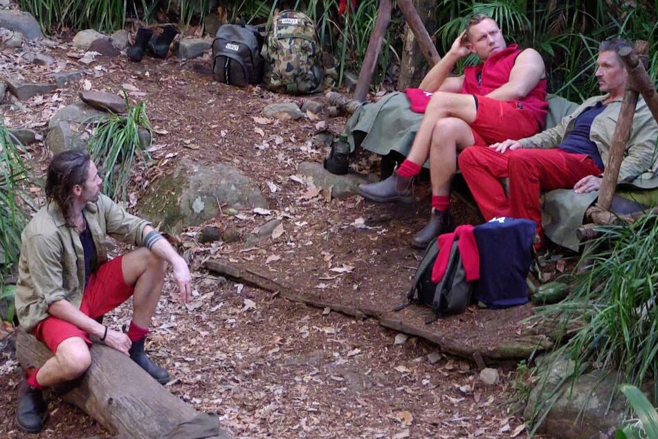 Im Dschungel hören Patrick Romer (30, 2.v.r.) und Gil Ofarim (43, l.) gespannt zu.