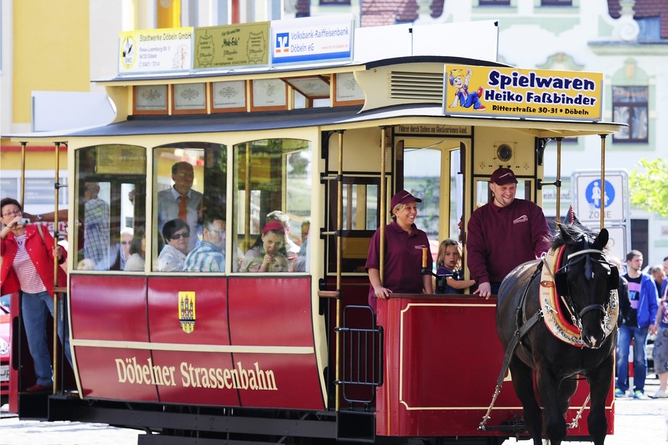 Alles über die Geschichte der Pferdebahn.