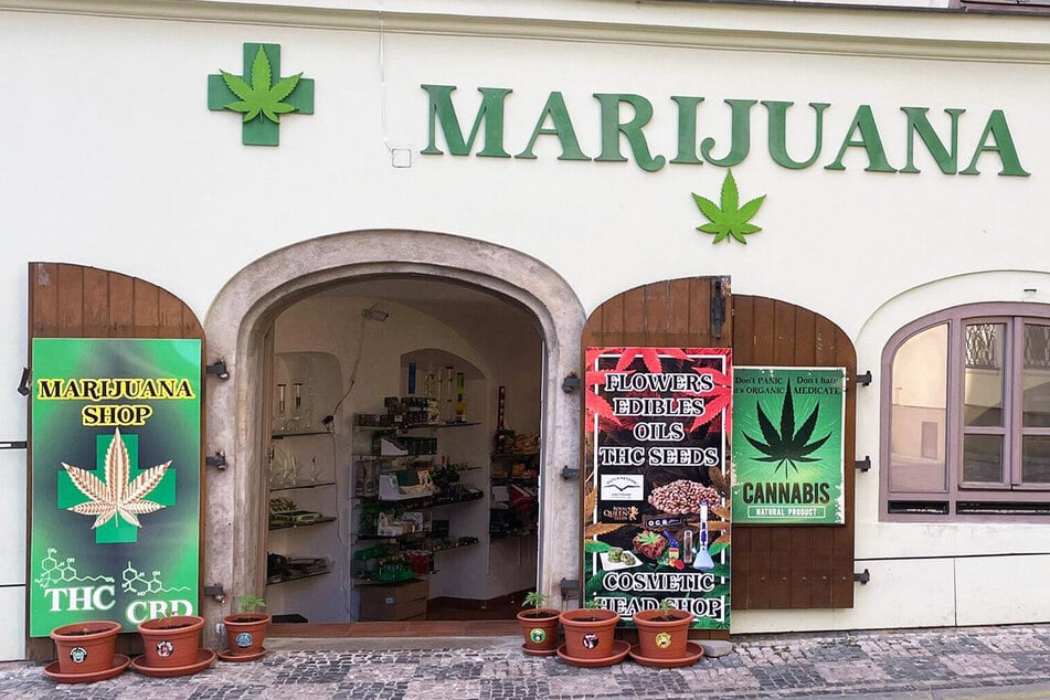 Tschechien macht den Weg für Cannabis frei: Wird Böhmen jetzt zum Kiffer-Paradies für Sachsen?