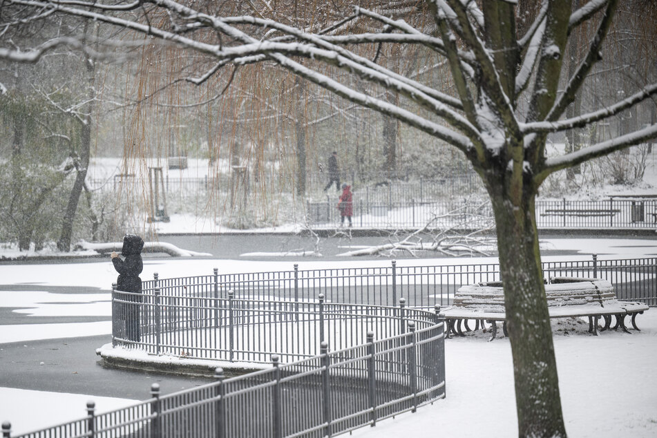 Kälte, Schnee und Eis haben die Hauptstadt im Griff. Ein Teich im Volkspark Friedrichshain ist zugefroren.