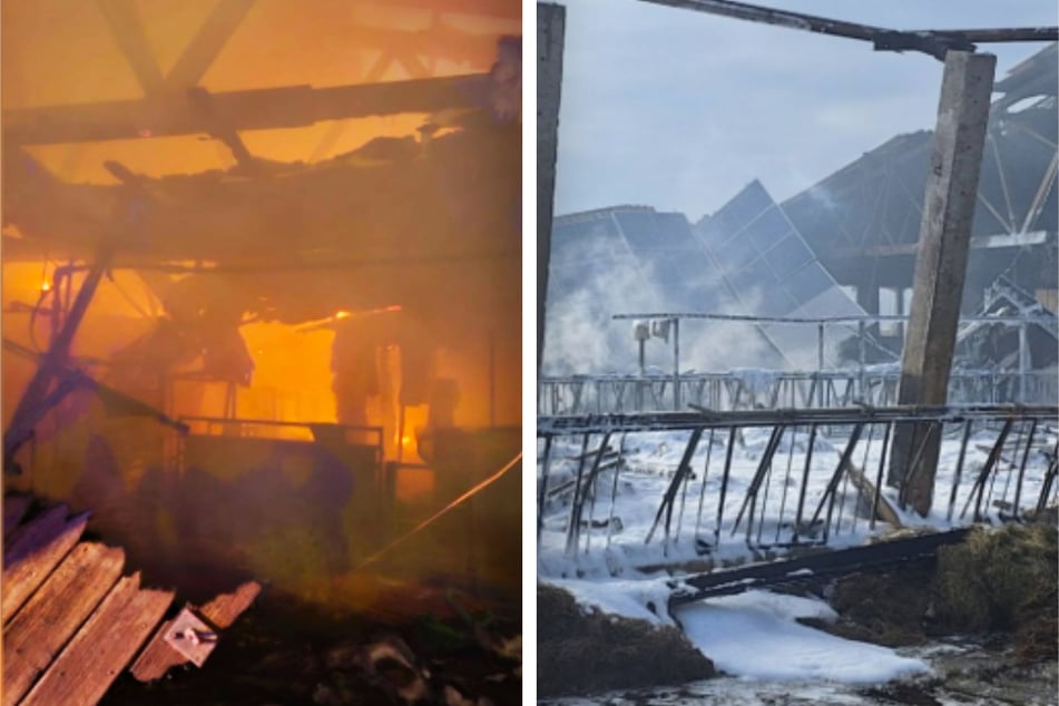 Flammen wüteten in dem Stall, der mit Stroh ausgelegt war. Die Feuerwehr löschte das Feuer.