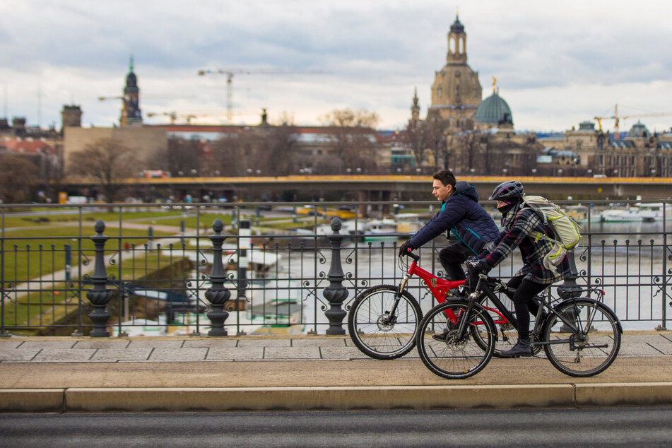 Auf der Albertbrücke wurden mehr Radfahrer gezählt als in den vergangenen Jahren.