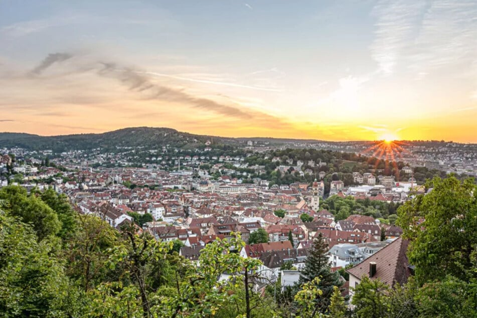 Ein Markenzeichen der Stadt: Die Kessellage verschafft Stuttgart Weinberge mitten im Zentrum.