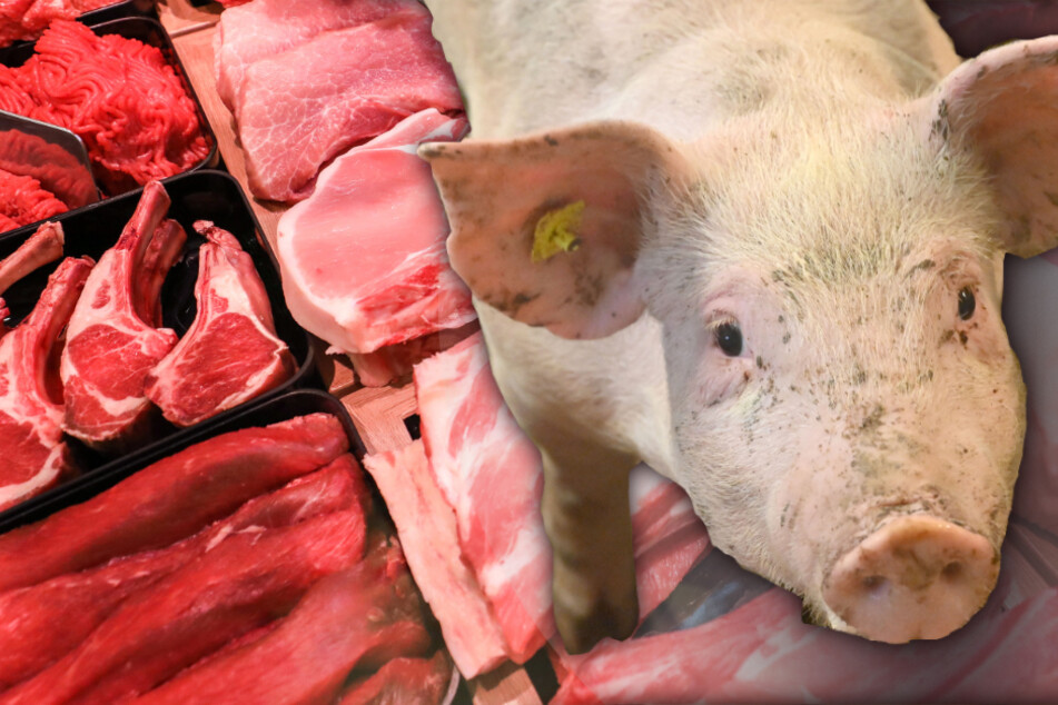 Youtube-Kanal verrät: Das ist die Wahrheit über Fleisch