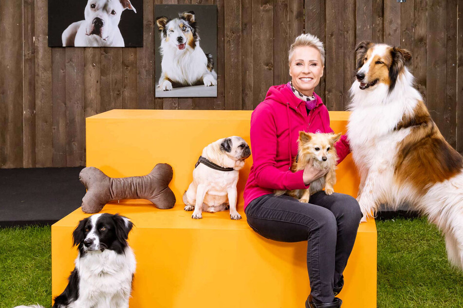 Sonja Zietlow vermittelt in "Mein Hund fürs Leben" Vierbeiner und potenzielle Besitzer