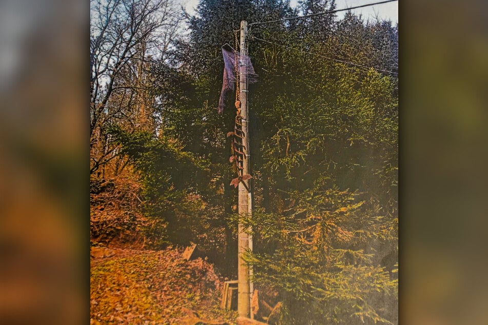 Das "Schrott-Kunstwerk" am Strommast sorgte für Aufregung bei den Stadtwerken, der Justiz und beim angeblichen "Verursacher". Inzwischen wurde es verschrottet.