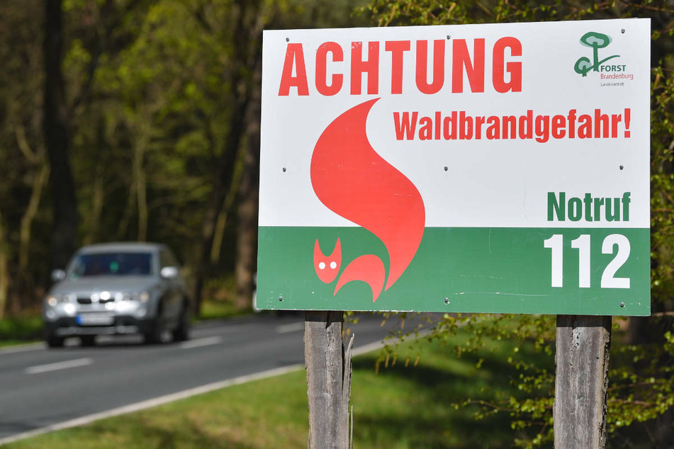 An einer Landstraße steht ein Warnschild im Wald. In Brandenburg steigt mit zunehmenden Temperaturen wieder die Waldbrandgefahr.