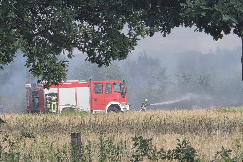 In Celle musste die Feuerwehr ein rund 120.000 Quadratmeter Feuer löschen.
